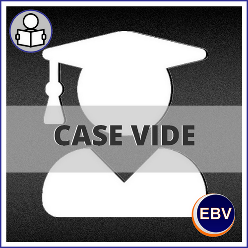 case-vide500